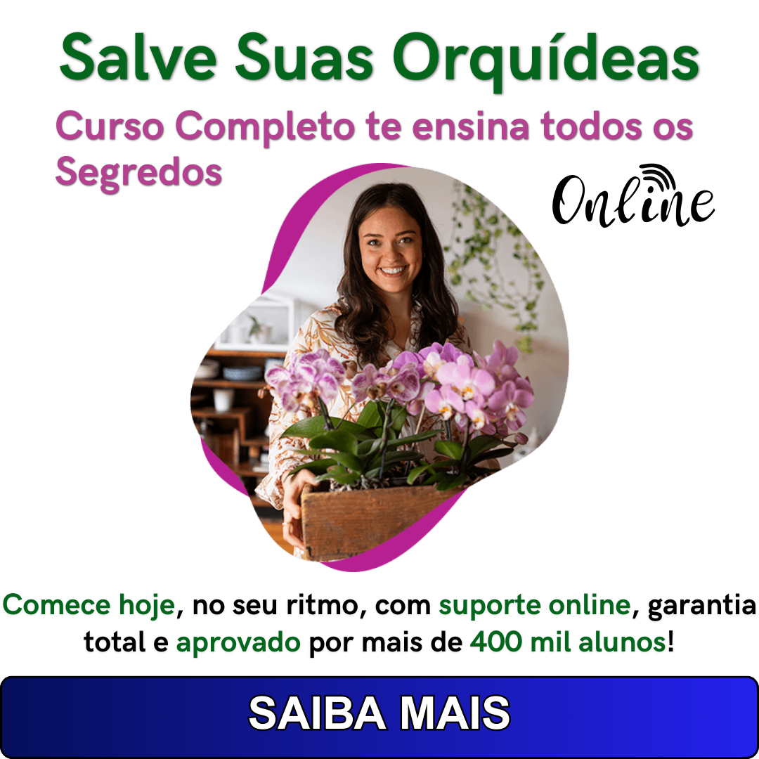 como salvar suas orquídeas